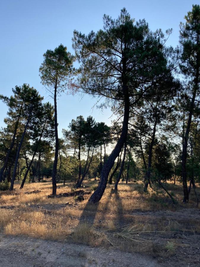 Apartamento Turistico Cerca Aranda De Duero La Ren Lecres Vadocondes Eksteriør billede